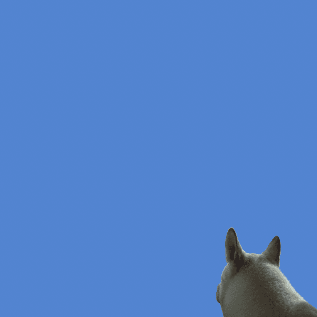 cover-004